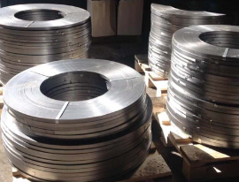 Stainless Steel Strips